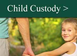 Child Custody Lawyer Brian McNamara Houston TX